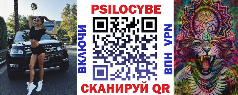 Псилоцибиновые грибы Psilocybe  Сыктывкар 